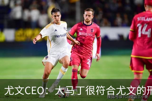 尤文CEO：大马丁很符合尤文的形象 弗拉霍维奇目前不在考虑范围内